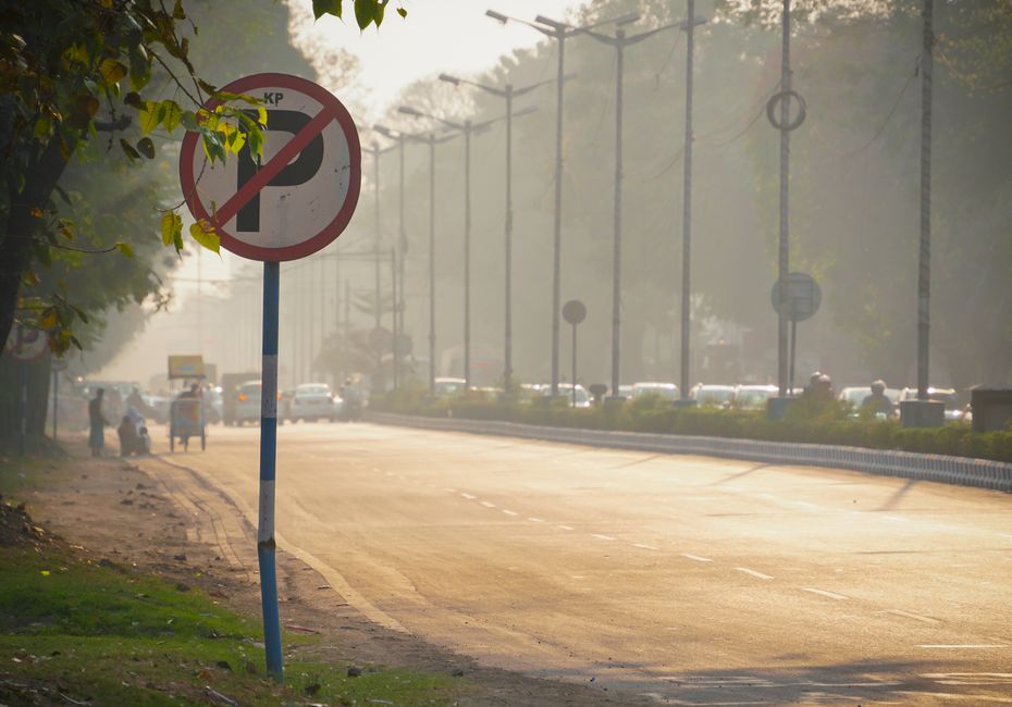 A street scene early in the morning with a no parking sign mounted on a blue pole in the foreground, partially obscured by leafy branches. The asphalt road appears to be quiet, with a few vehicles visible in the distance, suggesting a low-traffic period. On the left side, the sidewalk is bordered by grass and trees, with some pedestrians pushing shopping carts or walking. Further along the road, utility poles with hanging rings and overhead wires line the street, integrating with the misty, hazy atmosphere. The scene captures a moment suitable for a house removal or furniture transport process, emphasizing the importance of understanding local parking regulations in Erith (DA8). This image reflects the organized environment where professional removals, such as those provided by Man with Van Erith, must navigate parking rules to ensure smooth loading and unloading operations during home relocation tasks.
