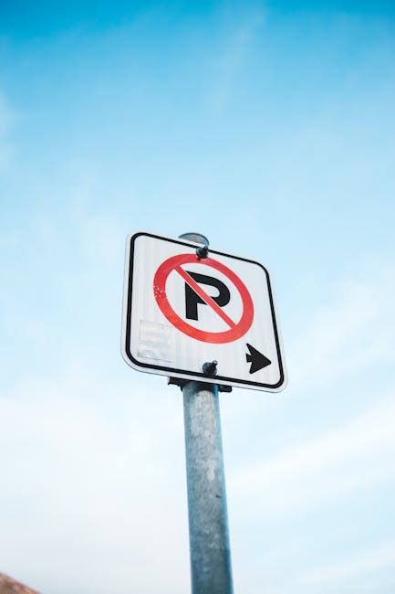 A street scene early in the morning with a no parking sign mounted on a blue pole in the foreground, partially obscured by leafy branches. The asphalt road appears to be quiet, with a few vehicles visible in the distance, suggesting a low-traffic period. On the left side, the sidewalk is bordered by grass and trees, with some pedestrians pushing shopping carts or walking. Further along the road, utility poles with hanging rings and overhead wires line the street, integrating with the misty, hazy atmosphere. The scene captures a moment suitable for a house removal or furniture transport process, emphasizing the importance of understanding local parking regulations in Erith (DA8). This image reflects the organized environment where professional removals, such as those provided by Man with Van Erith, must navigate parking rules to ensure smooth loading and unloading operations during home relocation tasks.